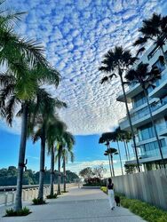 Reflections At Keppel Bay (D4), Condominium #454024791